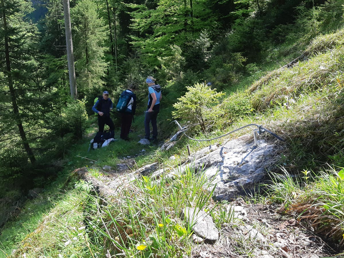 Wegsanierung_Oberscheffau_Sanierung2_Stahlseilversicherung 3 Personen im Wald. Die Stahlseilversicherung ist angebracht und befestigt.