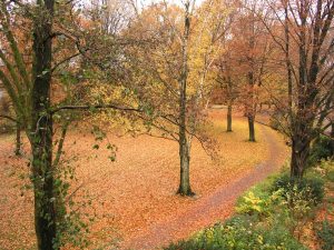 Credit: Norbert Malzer