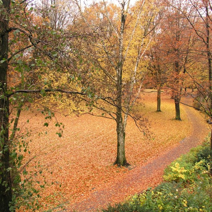 Credit: Norbert Malzer