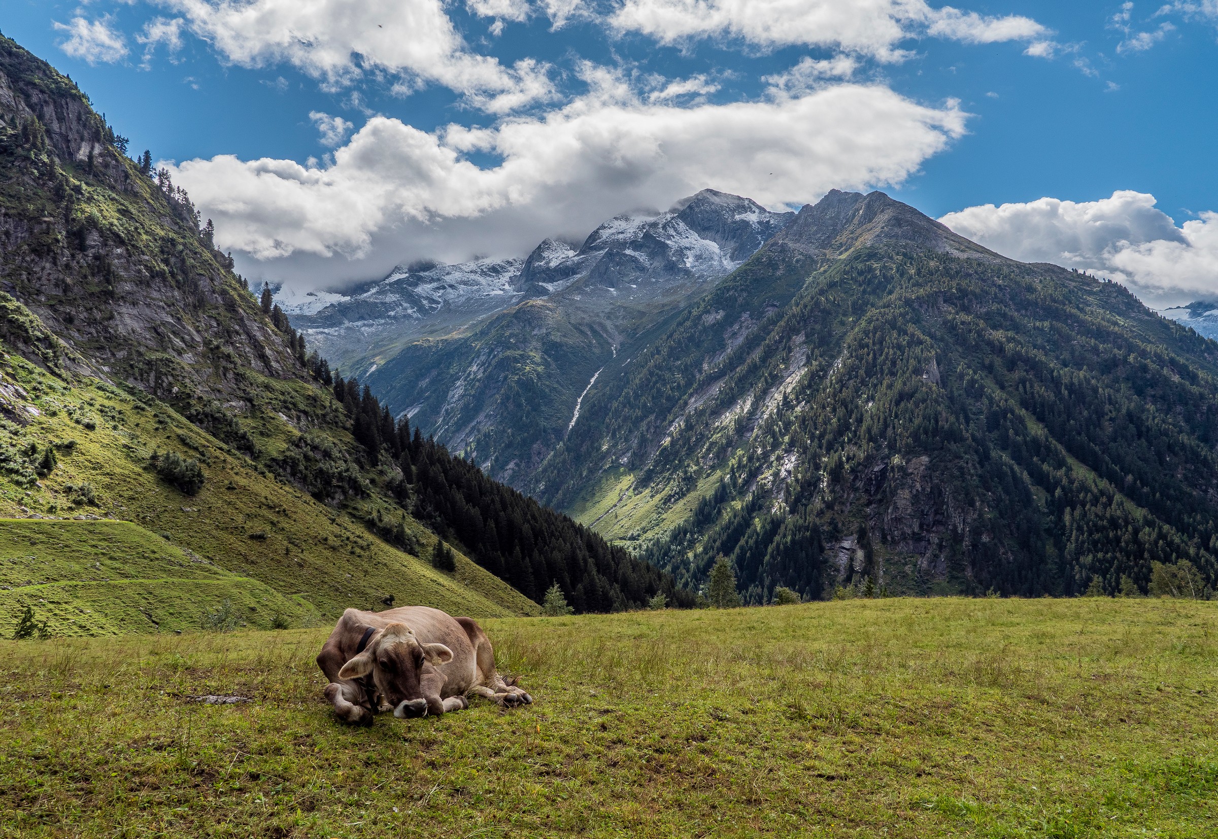L_5020_06_4_Meinfried Spreitzer_Im Zillergrund Meinfried Spreitzer - Im Zillergrund
