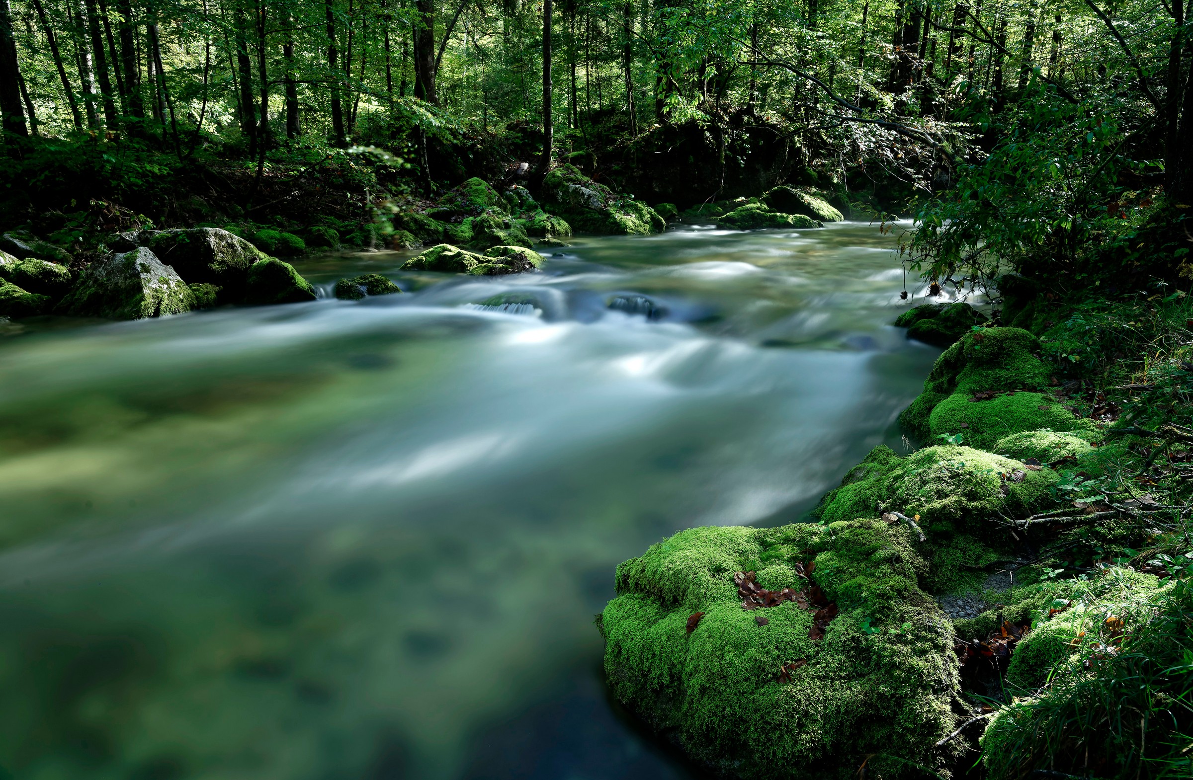 L_5500_03_3_Ernst Tschautscher_am Wasser Ernst Tschautscher - am Wasser