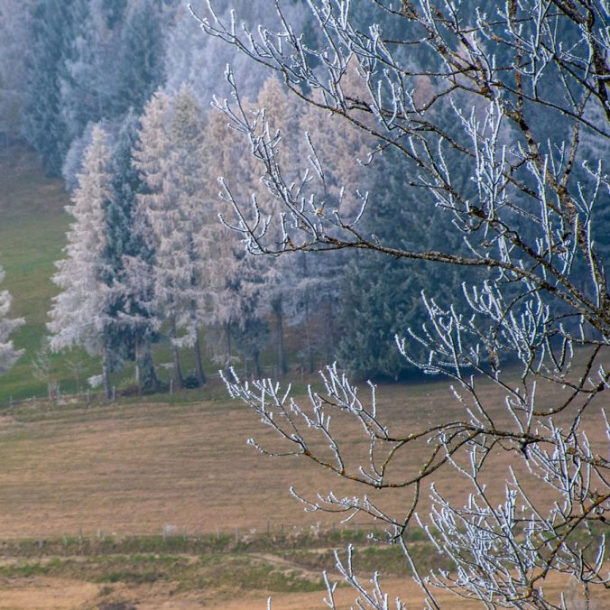 Landesfotowettbewerb der Naturfreunde Salzburg