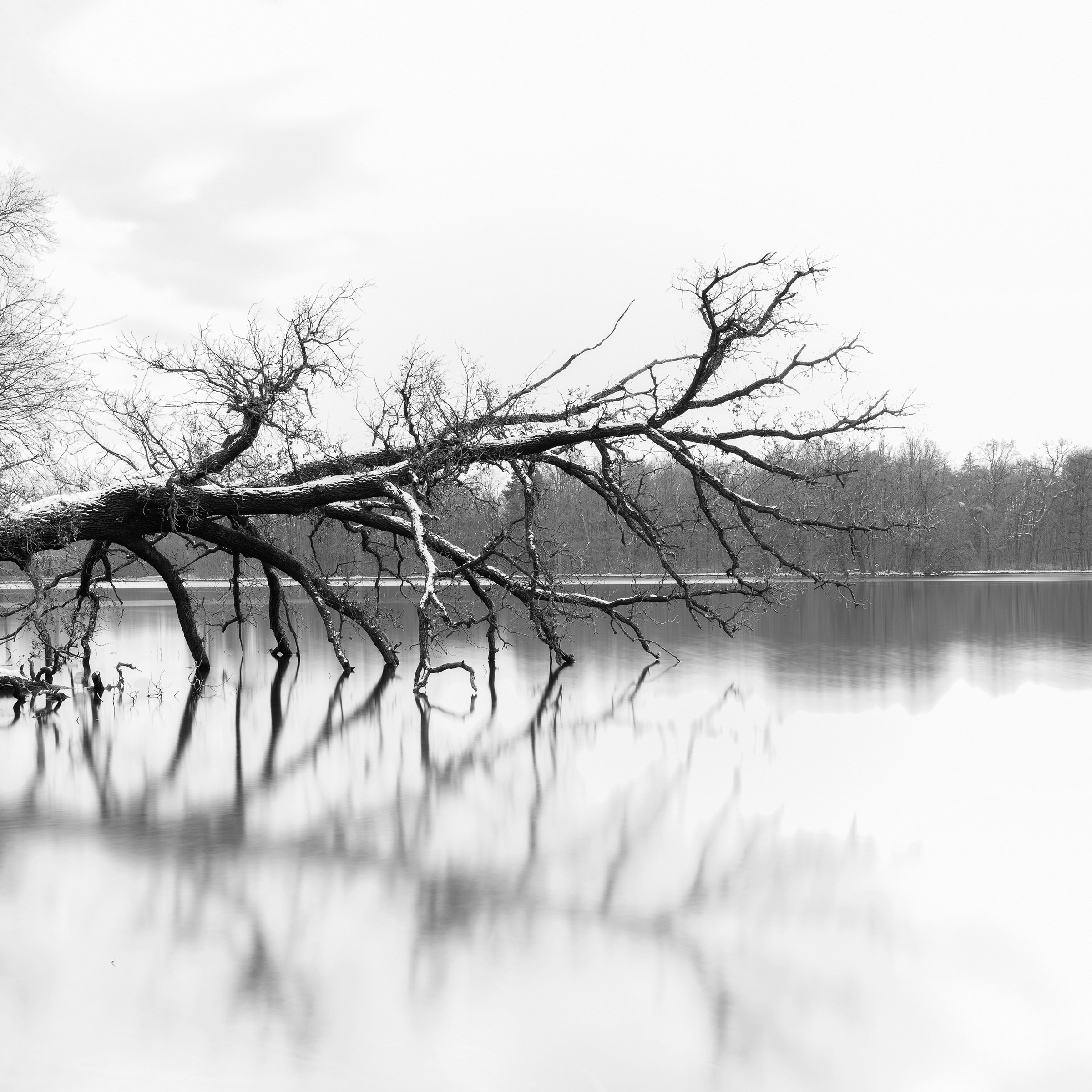 N_5303_01_3_Dirk Obracay_Am See Dirk Obracay - Am See