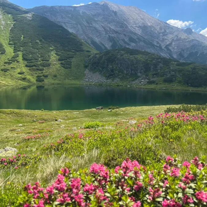 Die Wanderung zum Oberhüttensee bot beeindruckende Natur, abwechslungsreiche Wege und gemütliche Einkehr. Gemeinsam genossen die Naturfreunde Salzburg einen gelungenen Tag in der Bergwelt.