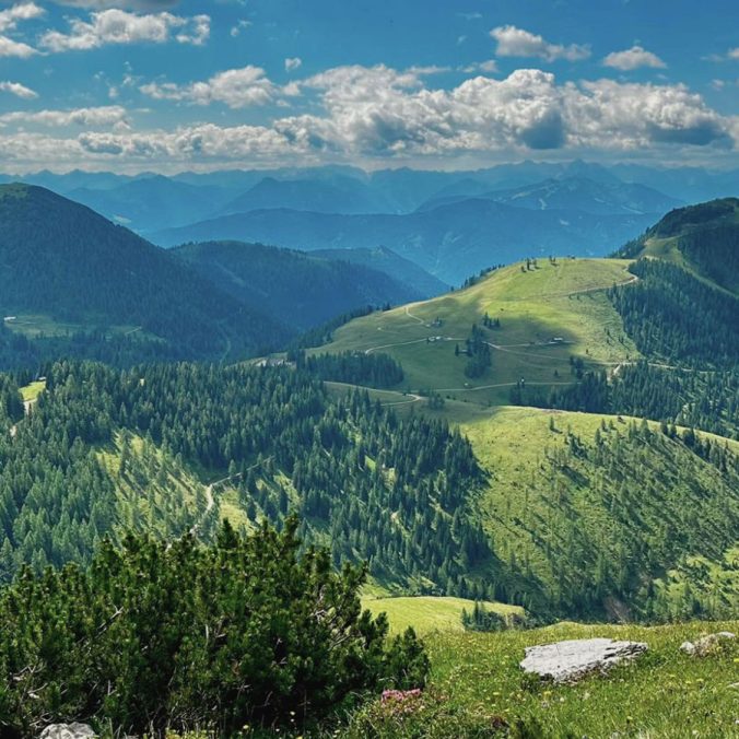Natur genießen, Gipfel erleben und Gemeinschaft stärken - diese Wanderung bot alles, was einen gelungenen Tag in den Bergen ausmacht. Lies mehr über die Tour und die schönsten Eindrücke.