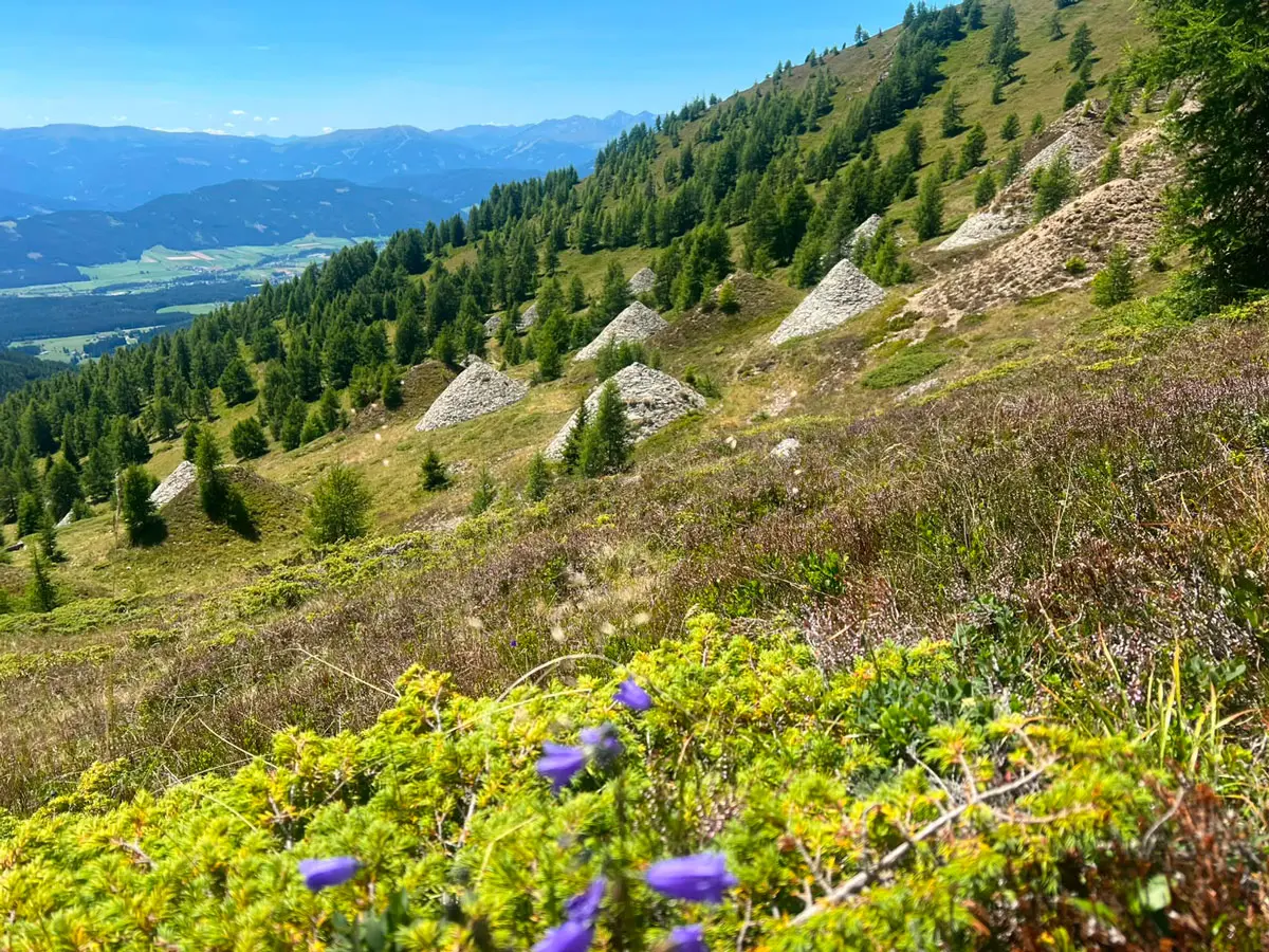 Naturfreunde_Salzburg_Wanderung_Gumma_Wiese