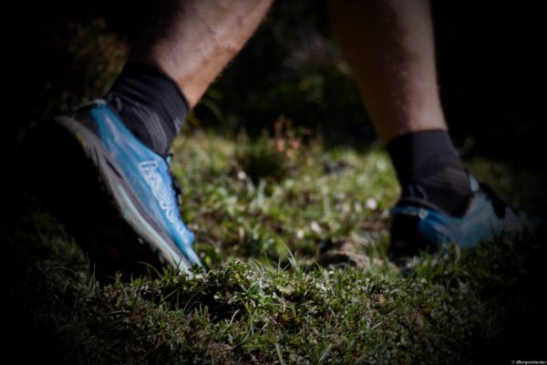 Trailrunning-Schuhe Alpin Team Trail 2026 Nahaufnahme von Trailrunning-Schuhen eines Läufers auf der Almwiese beim Alpin Team Trail 2026