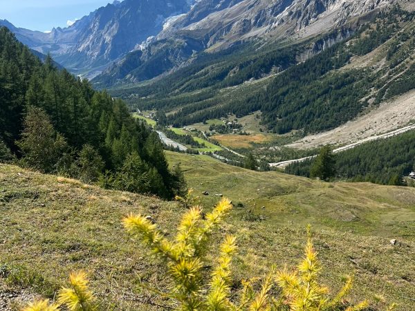 ValFerret_RifBonati_MontBlanc(9)